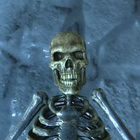 SR-item-Ancient Traveler's Skull.jpg