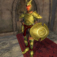 OB-item-Elven Armor.jpg