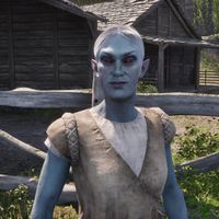 OBR-npc-Mivryna Arano 02.jpg