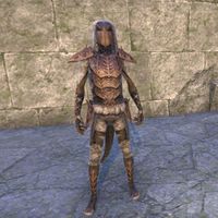 Ashlander Kagesh Tribe Armor (male)