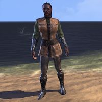 Nordic Knot Doublet and Breeches (female)