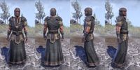 ON-item-armor-Nord Light Robe 2 Male.jpg