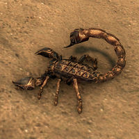 ON-creature-Scorpion Fabricant.jpg