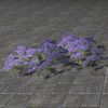 ON-furnishing-Flower Patch, Violets.jpg