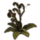 ON-icon-furnishing-Fern Plant, Green Curly.png