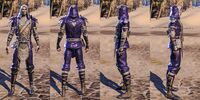 ON-item-armor-Breton Light Jerkin 4 Male.jpg