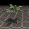ON-furnishing-Tree, Small Palm.jpg