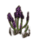 ON-icon-furnishing-Flowers, Midnight Sage.png
