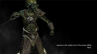 SR-load-Argonians are the reptilian natives.jpg