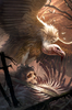 66px-LG-cardart-Feasting_Vulture.png