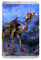 ON-card-Skeletal Camel.png