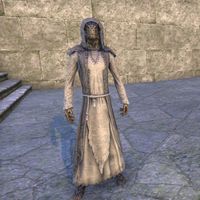ON-costume-Moth Priest (male).jpg