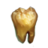 ON-icon-stolen-Tooth.png