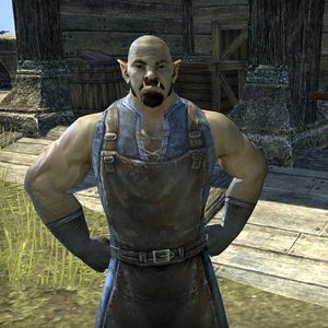 Online:Azarg - The Unofficial Elder Scrolls Pages (UESP)