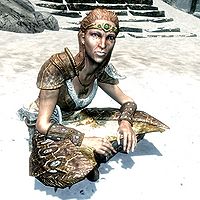 SR-npc-Karita (warrior).jpg