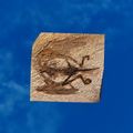 Thumbnail for version as of 01:35, 22 April 2025
