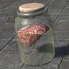 ON-furnishing-Specimen Jar, Spare Brain.jpg