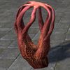 ON-furnishing-Vvardenfell Coral Plant, Young.jpg