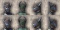 Thumbnail for version as of 04:44, 16 April 2025