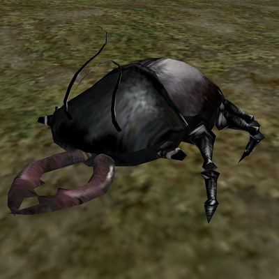 Lore:Shalk - The Unofficial Elder Scrolls Pages (UESP)