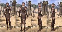 ON-item-armor-Hide-Breton-Female.jpg