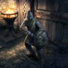 100px-LG-cardart-Whiterun_Protector_%28Nord%29.png