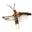 ON-icon-reagent-Torchbug Thorax.png