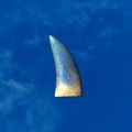 Thumbnail for version as of 01:35, 22 April 2025