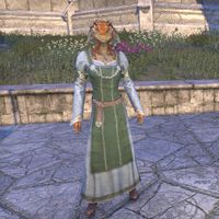 Bleakrock Housecarl Dress (female)