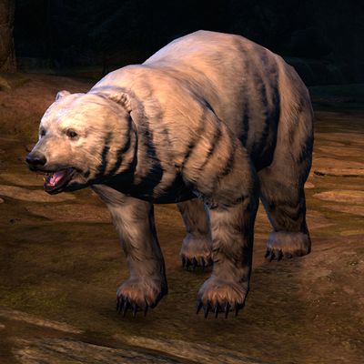 Lore:Tsun - The Unofficial Elder Scrolls Pages (UESP)