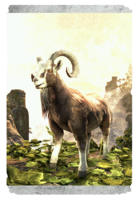 ON-card-Dragontail Goat.png