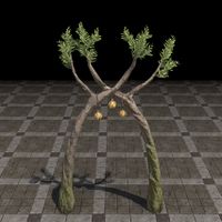 ON-furnishing-Dawnwood Orange Lights, Sprouted Arch 02.jpg
