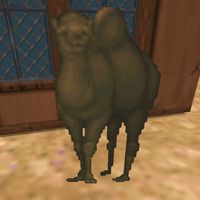 DF-creature-Camel.jpg