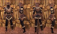 ON-item-armor-Glenmoril Wyrd (Jerkin).jpg
