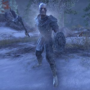 Online:Frost-Cursed Brute - The Unofficial Elder Scrolls Pages (UESP)