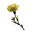 BS5-icon-ingredient-YellowFlax.png