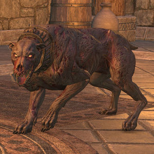 Online:Death Hound - The Unofficial Elder Scrolls Pages (UESP)