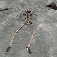 MW-creature-Skeleton Dead.jpg