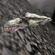 Slaughterfish (Morrowind)