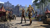 ON-crown store-Imperial Champion Armor Pack.jpg