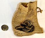 Pouch of Septims