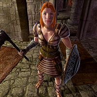 brænde krokodille Planet Oblivion:Yellow Team Champion - The Unofficial Elder Scrolls Pages (UESP)