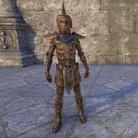 Classic Ordinator Armor (male)