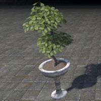 ON-furnishing-Alinor Potted Plant, Double Tiered.jpg