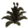 ON-icon-furnishing-Fern Plant, Healthy Green.png