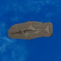 Thumbnail for version as of 01:35, 22 April 2025
