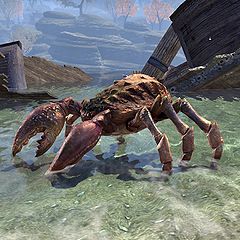 Lore:Mudcrab - The Unofficial Elder Scrolls Pages (UESP)