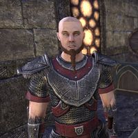 ON-npc-Bald Holgrim.jpg