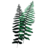 BS5-icon-ingredient-SomnaliusFrond.png