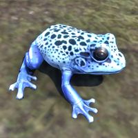 ON-creature-Frog 04.jpg